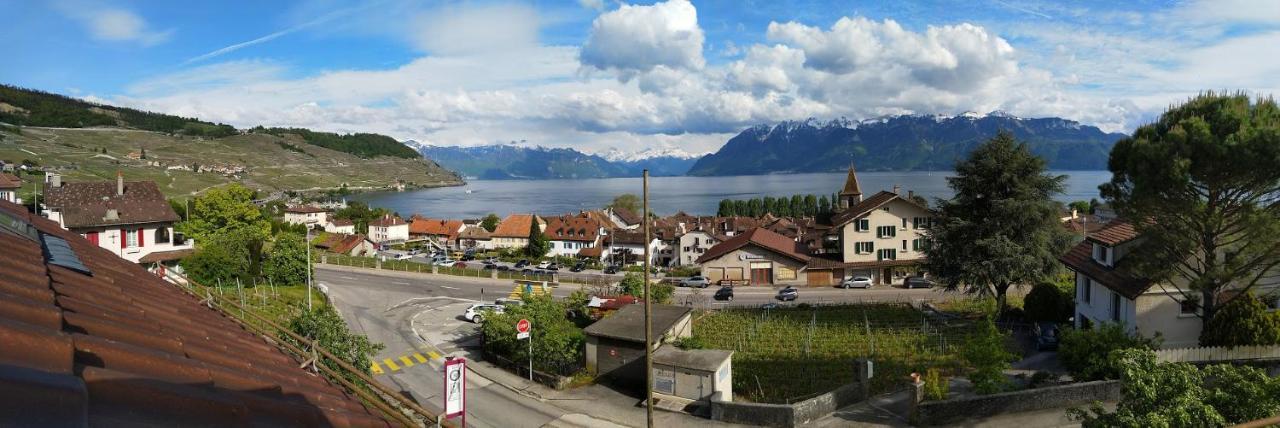 Charmante Maison Au Coeur Du Lavaux, Cully, Cuisine, Wifi, Les Echalas Ngoại thất bức ảnh