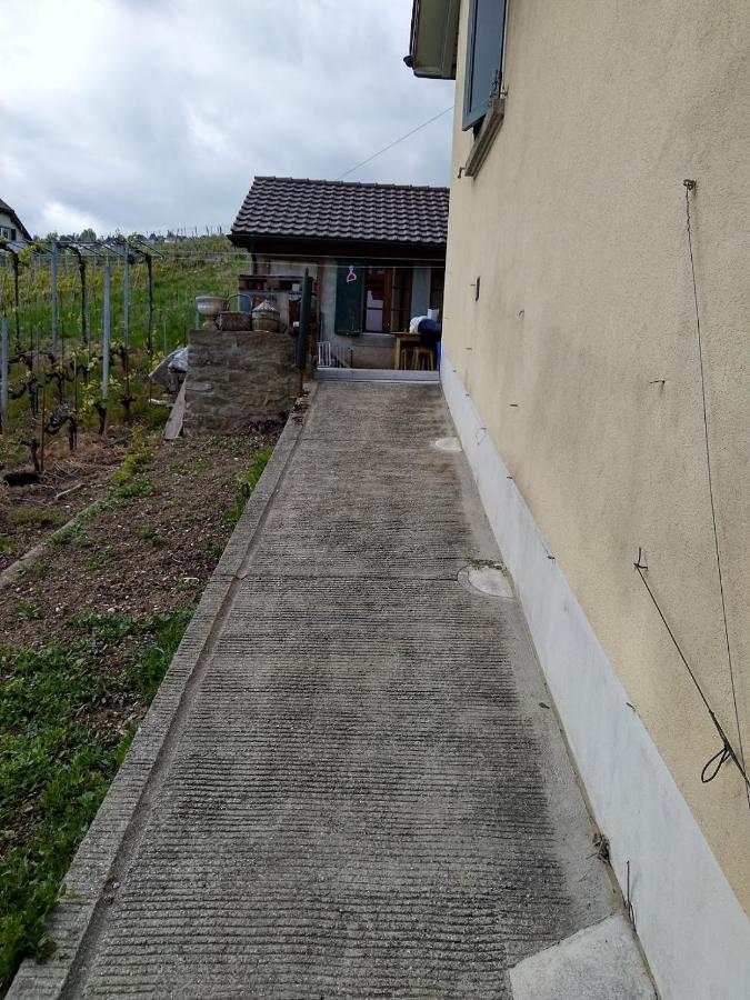 Charmante Maison Au Coeur Du Lavaux, Cully, Cuisine, Wifi, Les Echalas Ngoại thất bức ảnh